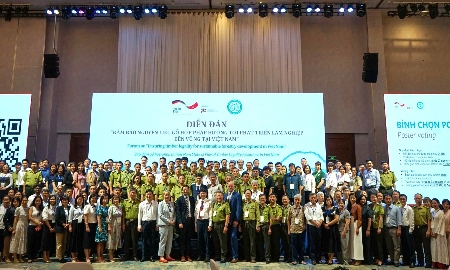 Việt Nam nỗ lực đảm bảo nguồn gỗ hợp pháp, hướng tới phát triển lâm nghiệp bền vững
