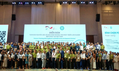 Việt Nam nỗ lực đảm bảo nguồn gỗ hợp pháp, hướng tới phát triển lâm nghiệp bền vững
