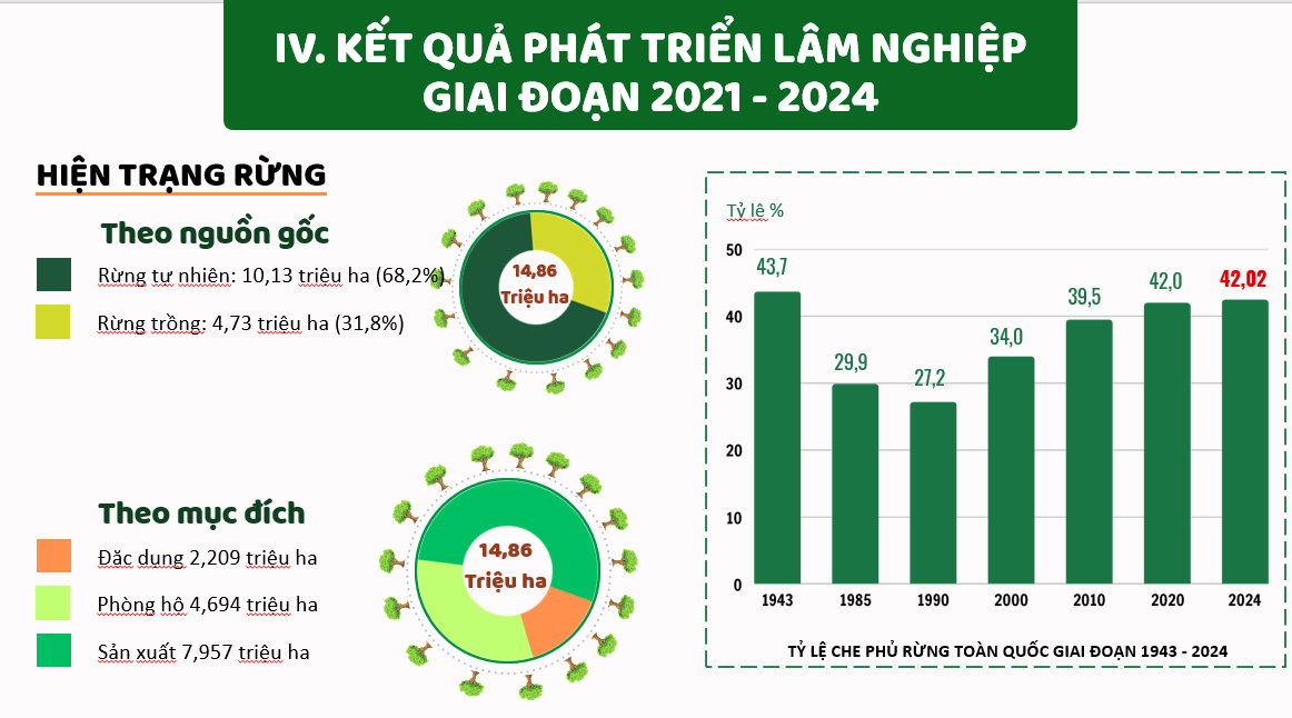 Hiện trạng rừng tại Việt Nam. Nguồn Cục Lâm nghiệp và Kiểm lâm
