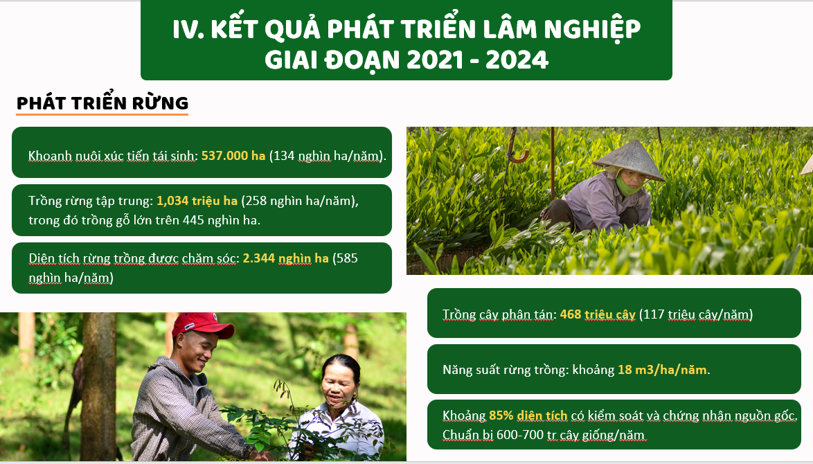 Phát triển rừng tại Việt Nam trong giai đoạn 2021-2024. Nguồn Cục Lâm nghiệp và Kiểm lâm.