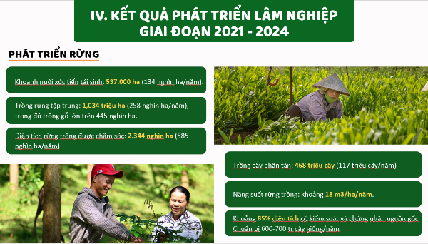 Phát triển rừng tại Việt Nam trong giai đoạn 2021-2024. Nguồn Cục Lâm nghiệp và Kiểm lâm.