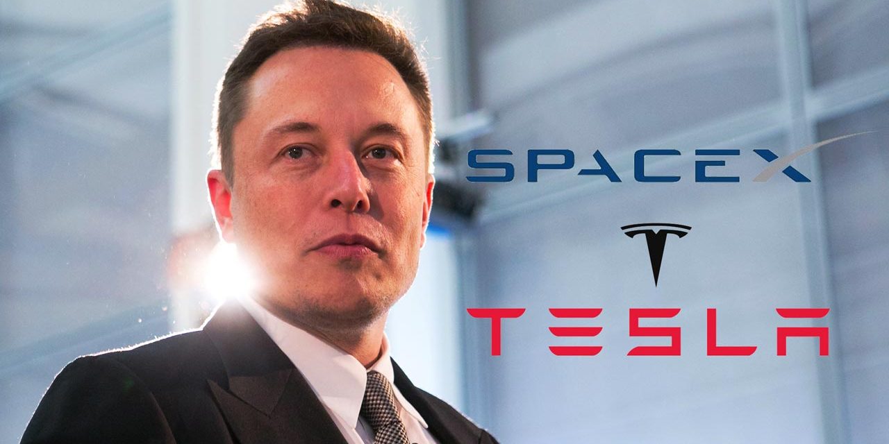CEO Tesla Elon Musk