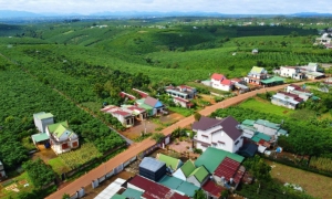 Đề xuất giảm gánh nặng tiền sử dụng đất khi chuyển đất nông nghiệp sang đất ở