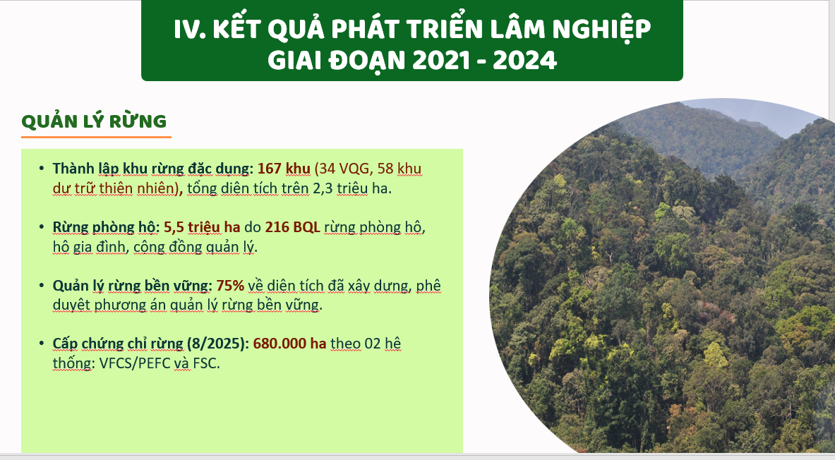 Kết quả quản lý rừng giai đoạn 2021-2024. Nguồn Cục lâm nghiệp và Kiểm lâm.
