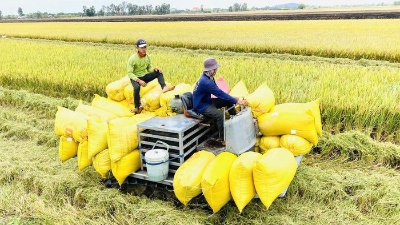 PM orders stronger measures to boost rice production and exports
