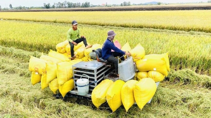 PM orders stronger measures to boost rice production and exports