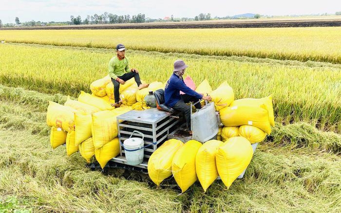 PM orders stronger measures to boost rice production and exports