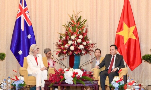 Thành phố Hồ Chí Minh sẵn sàng phát triển dư địa hợp tác với các địa phương Australia