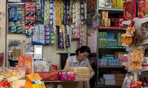 Lo ngại doanh nghiệp nhỏ và hộ kinh doanh khó tiếp cận hỗ trợ theo Nghị quyết Quốc hội