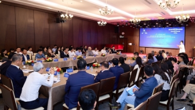 Vietnam launches private economic landscape model 