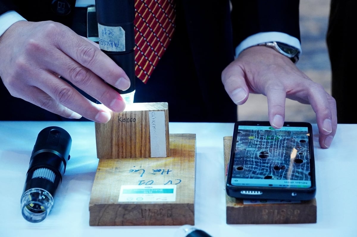 Ứng dụng WoodID cho phép người dùng xác định nhanh chóng 260 loài gỗ chỉ bằng một chiếc điện thoại thông minh. Ảnh minh họa