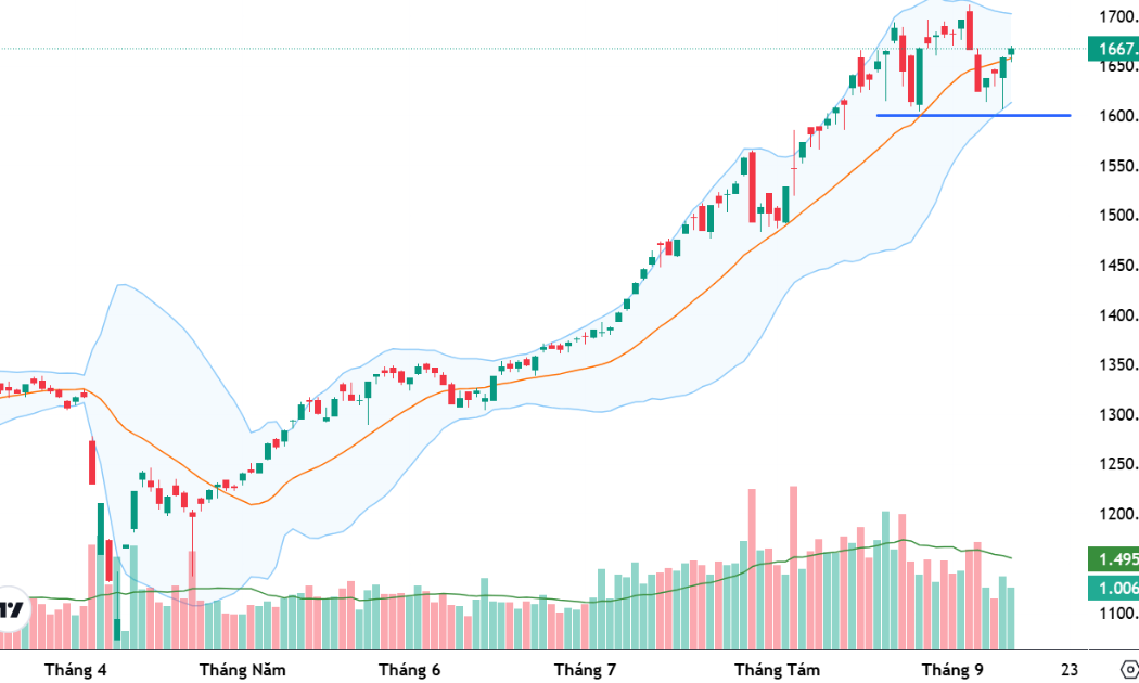VN-Index đã dừng đà giảm quanh mốc 1600 điểm.