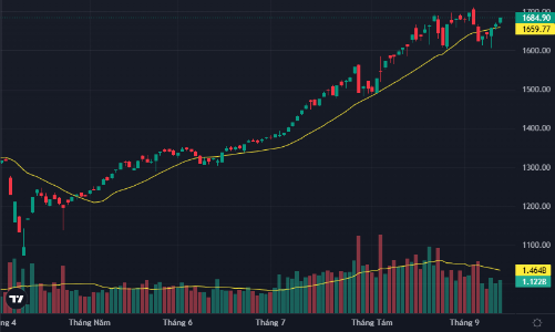 Đỉnh 1700 lại trong tầm tay, cổ phiếu vừa và nhỏ tăng nóng