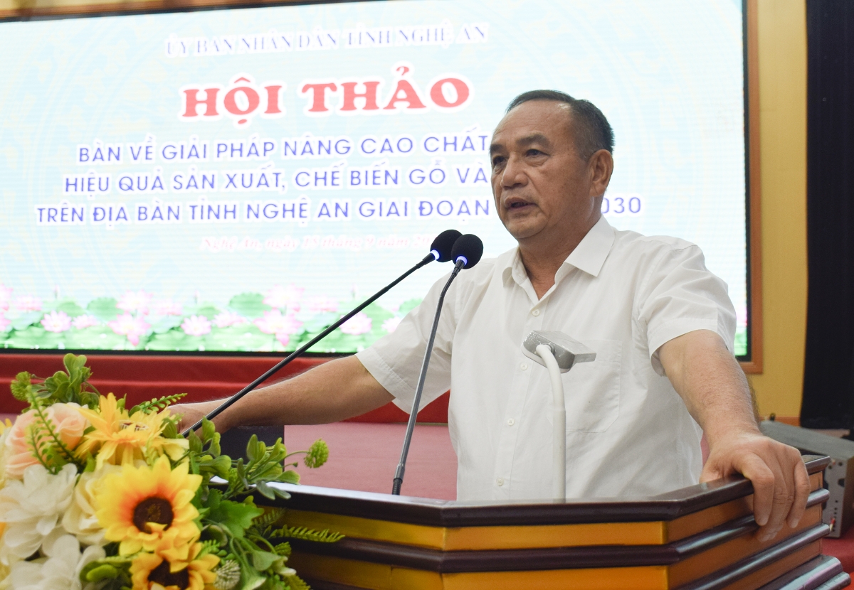 Ông Trần Quang Luận – Chủ tịch Hiệp hội chế biến gỗ và lâm sản ngoài gỗ tỉnh Nghệ An tham luận về giải pháp phát triển công nghiệp gỗ trên địa bàn tỉnh Nghệ An