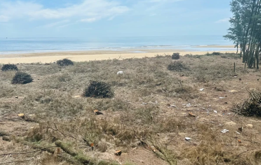 Mục tiêu dự án là thiết lập rừng phòng hộ thiên tai góp phần phòng chống sa mạc hóa ven biển Hà Tĩnh.