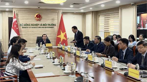 Bước tiến hợp tác giảm phát thải khí nhà kính, phát triển dự án tín chỉ carbon Việt Nam và Singapore 