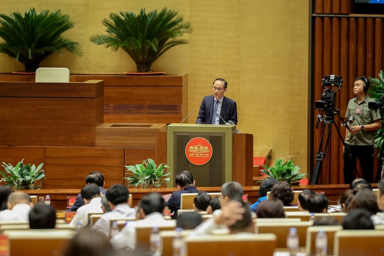 Quyền Bộ trưởng Bộ Ngoại giao Lê Hoài Trung trình bày báo cáo tại Hội nghị. Ảnh: VGP.