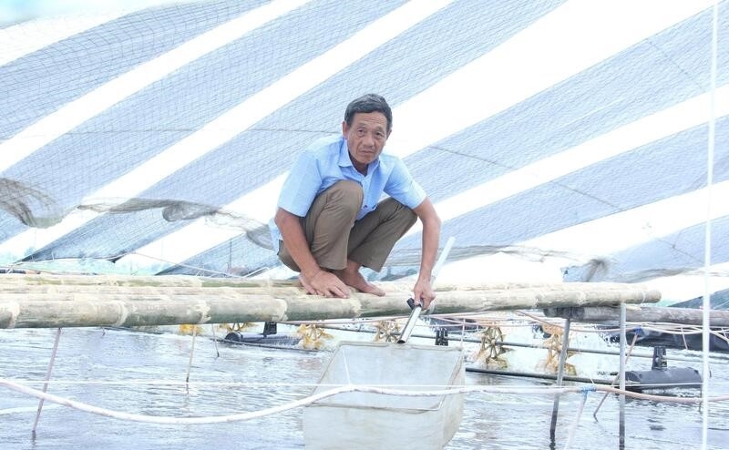 Gia đình ông Trương Văn Miên là hộ tiên phong trong Hợp tác xã Dịch vụ nông nghiệp thủy sản Hoằng Phong.