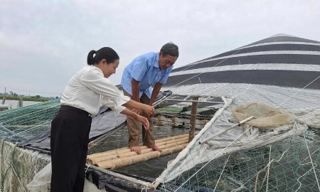 Thành tỷ phú từ nuôi tôm công nghệ cao: Hướng đi mới tăng thu nhập nông dân ven biển xứ Thanh