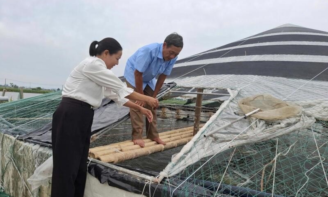 Bà Nguyễn Thị Lan, Chủ tịch Hội Nông dân xã Hoằng Châu cùng ông Trương Văn Miên kiểm tra sức khỏe của tôm.