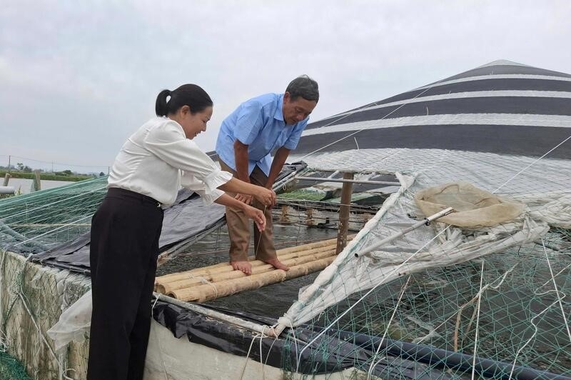 Bà Nguyễn Thị Lan, Chủ tịch Hội Nông dân xã Hoằng Châu cùng ông Trương Văn Miên kiểm tra sức khỏe của tôm.