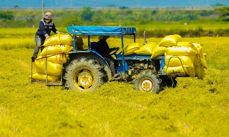 5 năm, 300.000 lao động nông thôn đã được hỗ trợ học nghề