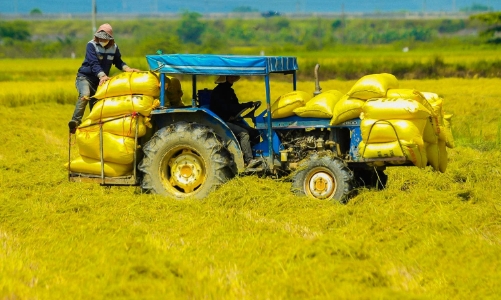 5 năm, 300.000 lao động nông thôn đã được hỗ trợ học nghề