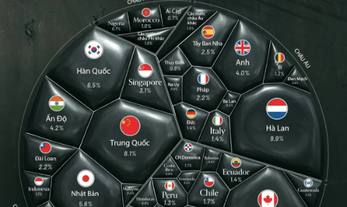 Những nền kinh tế nhập khẩu dầu Mỹ nhiều nhất