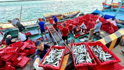 Vietnam ratifies WTO Agreement on Fisheries Subsidies