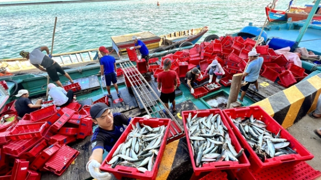 Vietnam ratifies WTO Agreement on Fisheries Subsidies