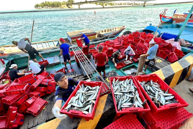 Vietnam ratifies WTO Agreement on Fisheries Subsidies