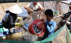 UNDP Việt Nam cam kết hỗ trợ bảo tồn đa dạng sinh học 