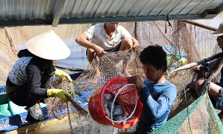 UNDP Việt Nam cam kết hỗ trợ bảo tồn đa dạng sinh học