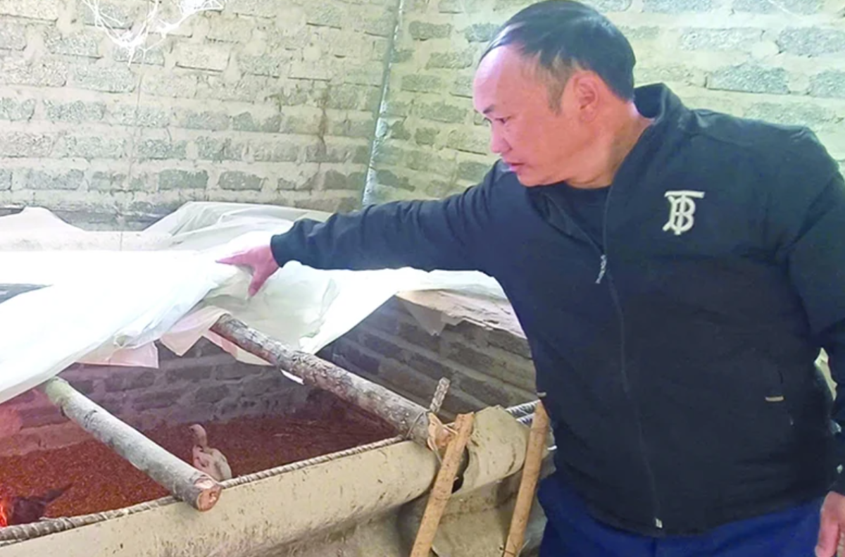 Anh Giàng A Vành kiểm tra, chăm sóc gà giống.