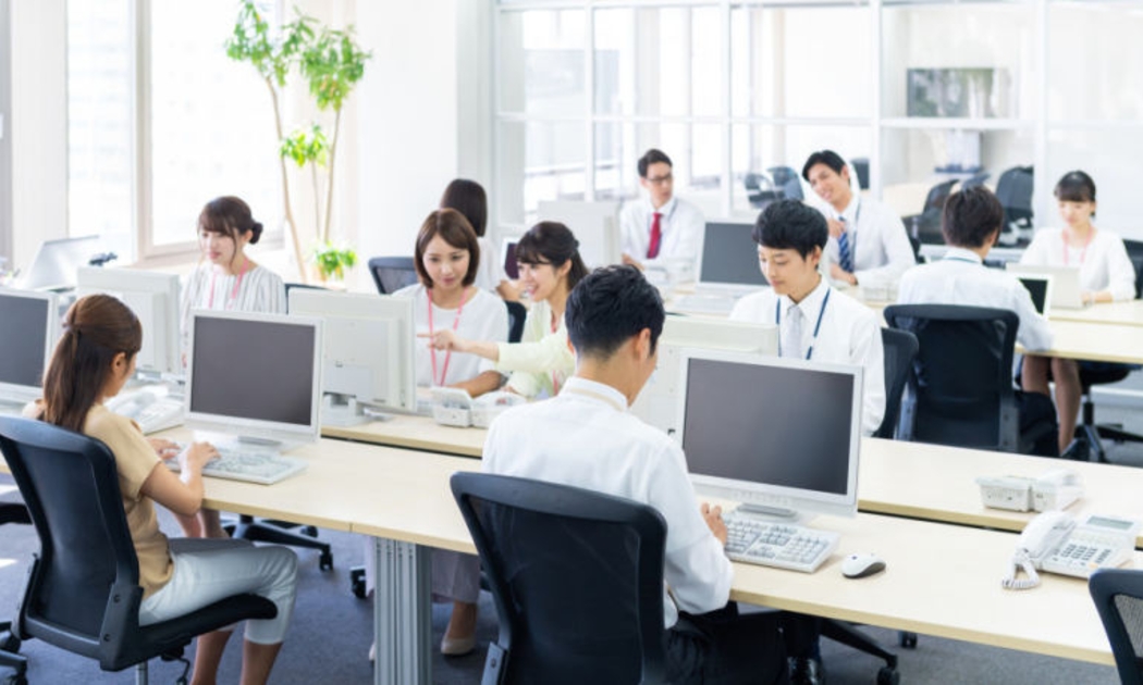 Đối tượng cơ sở dữ liệu doanh nghiệp bao trùm toàn bộ khu vực doanh nghiệp thuộc các thành phần kinh tế: Doanh nghiệp ngoài nhà nước, doanh nghiệp nhà nước và doanh nghiệp có vốn đầu tư nước ngoài.