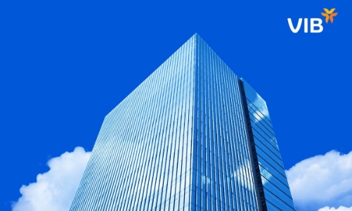 VIB 29 năm - Hành trình sáng tạo, nâng tầm trải nghiệm tài chính cho triệu khách hàng Việt