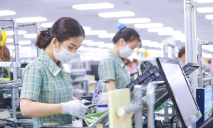 Ưu đãi thuế thu nhập doanh nghiệp: Vướng tiêu chí tổ chức trung gian hỗ trợ khởi nghiệp