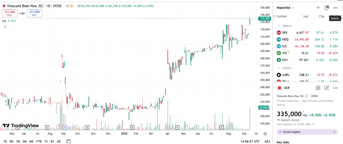 Sơ đồ giá cổ phiếu VCF trên TradingView.