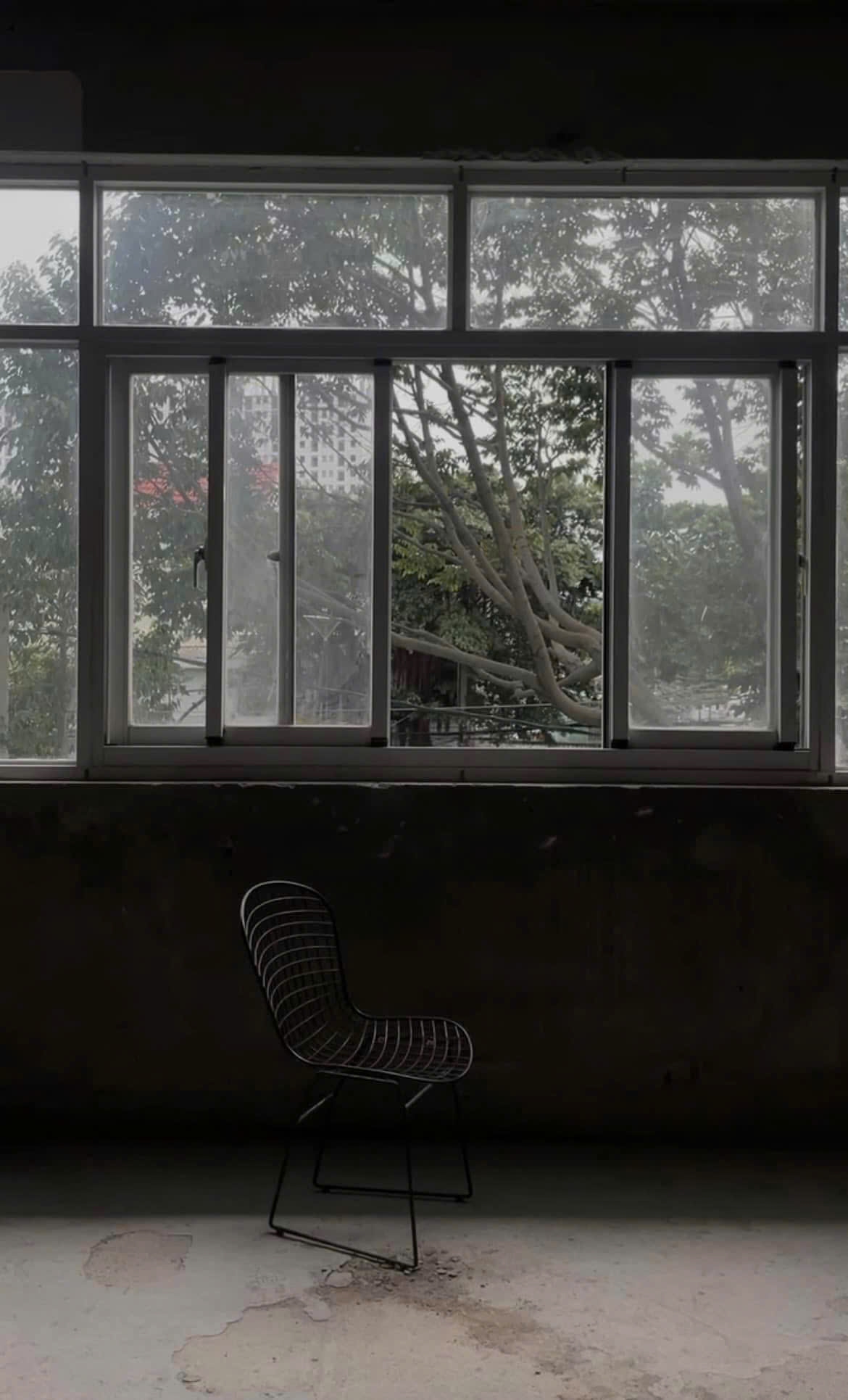 Ảnh chụp bằng điện thoại do bạn Khánh Huyền cung cấp 