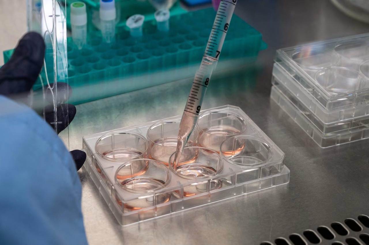 Chỉ có 9 công ty biotech tiến hành IPO trong nửa đầu năm nay, thấp hơn đáng kể so với tốc độ năm 2024. 
