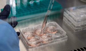 Chỉ có 9 công ty biotech tiến hành IPO trong nửa đầu năm nay, thấp hơn đáng kể so với tốc độ năm 2024.