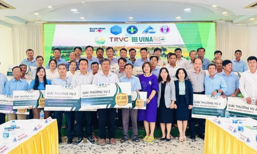 Nông dân trồng lúa giảm phát thải được nhận tiền thưởng