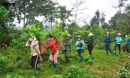 Nghệ An tiếp nhận hơn 356 tỷ đồng từ ERPA, mở rộng sinh kế cho người dân miền núi