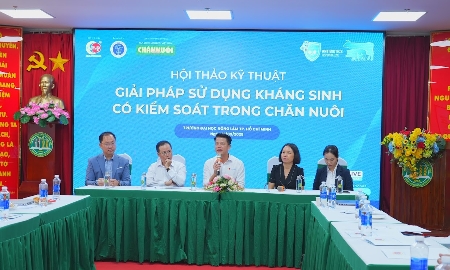 Sử dụng kháng sinh có kiểm soát: Hướng đi bền vững cho ngành chăn nuôi