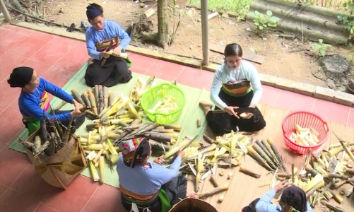 Mở hướng đi mới cho đặc sản măng rừng xứ Thanh vươn xa