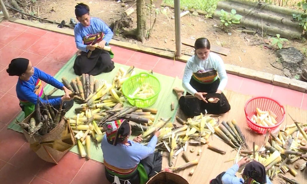 Măng rừng từ món ăn dân dã đến sản phẩm OCOP ở xứ Thanh. Ảnh: Quỳnh Trâm