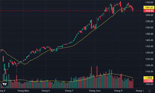 Cầu bắt đáy lại xuất hiện quanh 1600 điểm