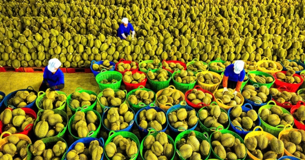 Xuất khẩu rau quả lập kỷ lục mới