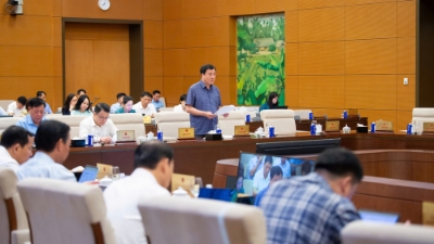 E-commerce Law's role to be defined in national legal framework
