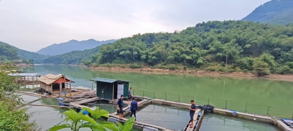 Xã Trung Hạ đã có gần 80 hộ nuôi cá với khoảng 90 lồng.